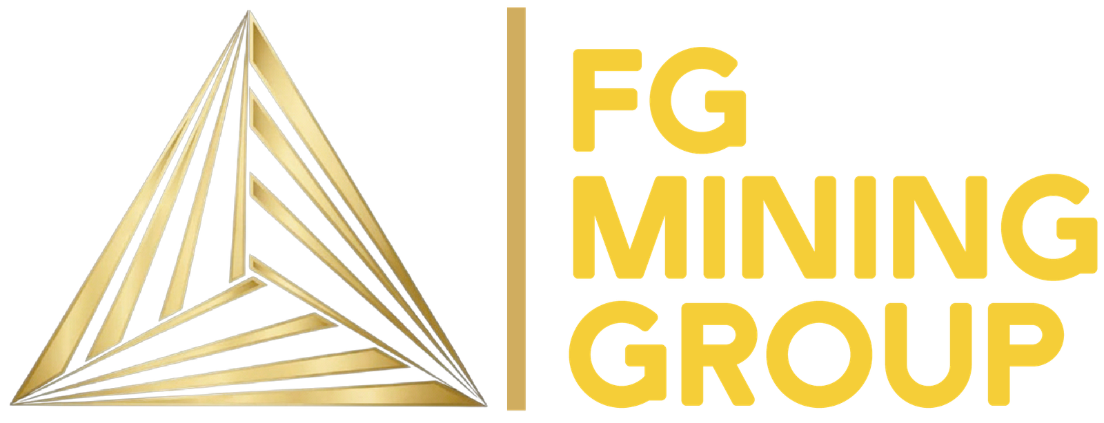 FG Mining Group